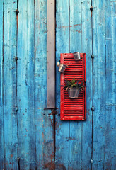 flower pots on red wooden shutter on an grange blue wall background