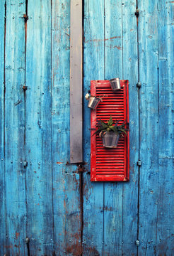 flower pots on red wooden shutter on an grange blue wall background