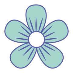 flower decoration ornament natural