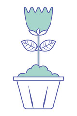 flower in pot decoration interior ornament