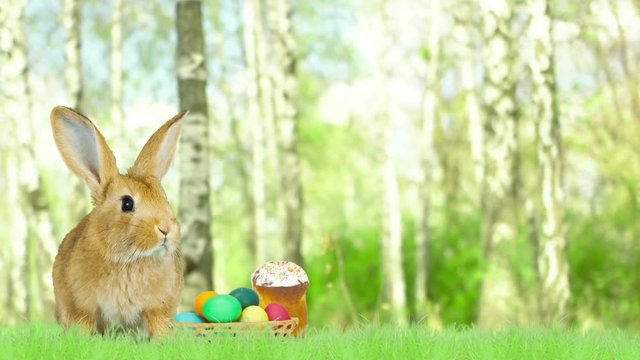golden rabbit and easter eggs on green grass