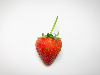 Strawberry on white background