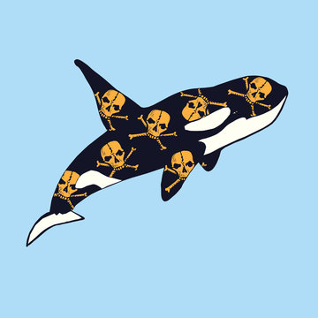 Killer whale with yellow skulls and crossbones print on skin, hand drawn doodle sketch, isolated vector color illustration