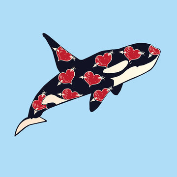 Killer whale with red heart with arrow print on skin, hand drawn doodle sketch, isolated vector color illustration