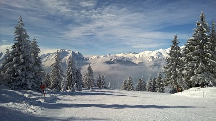 Berge im Winter