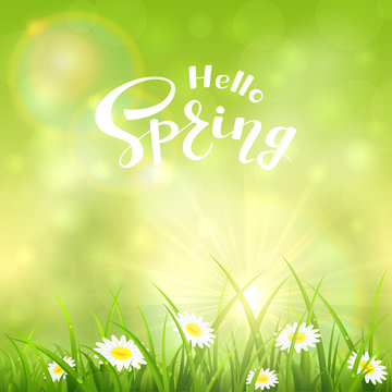 Green nature sunny background and text Hello Spring