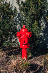 Fototapeta na wymiar Fireman Red Water Pump
