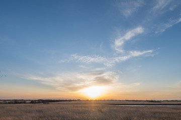 Obraz premium 湿原の夕日