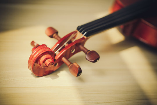 Viola Musical
