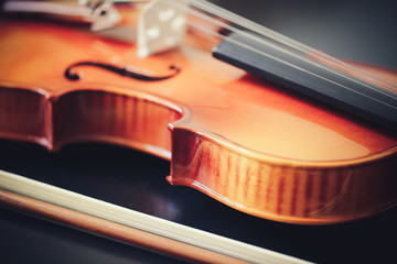 Close-up of Violin