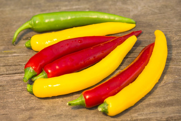 a colorful mix of the freshest and hottest chili peppers