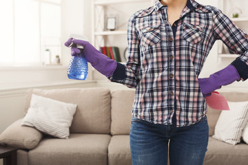 Obraz premium Woman with cleaning equipment ready to clean room