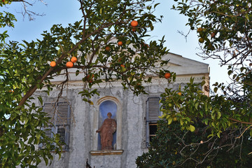 An orange tree with oranges and a chapel with a saint monument in the background