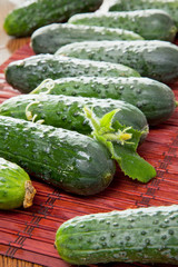cucumbers
