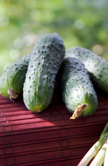 cucumbers