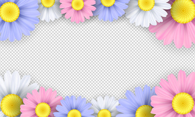 Seasonal background. Colorful chamomile flowers on a transparent background. Template for your design. Vector illustration
