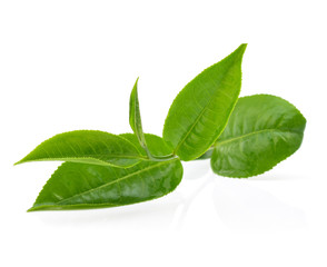 Green tea leaf isolated on white
