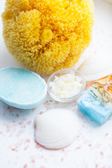 Spa and natural cosmetics concept. Set of skin and body care tools: shea oil, seashells, sponges, soap, clay and seaweed on the white background. Top view. Close up.