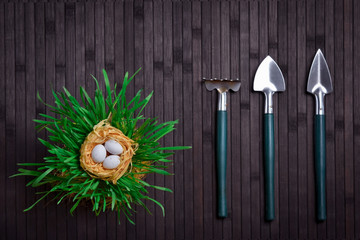 Fototapeta premium nest with eggs garden tool