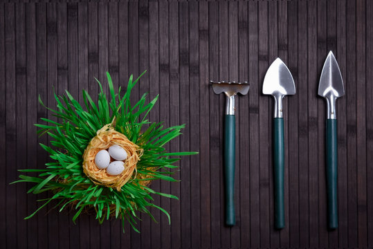 nest with eggs garden tool