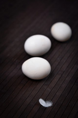 eggs on a dark background with feathers