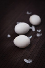 eggs on a dark background with feathers