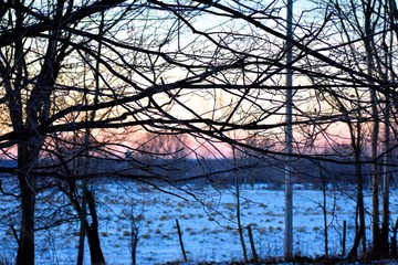 A winter sun sets over a horse farm in Northern New York, silhouetting a web of trees.