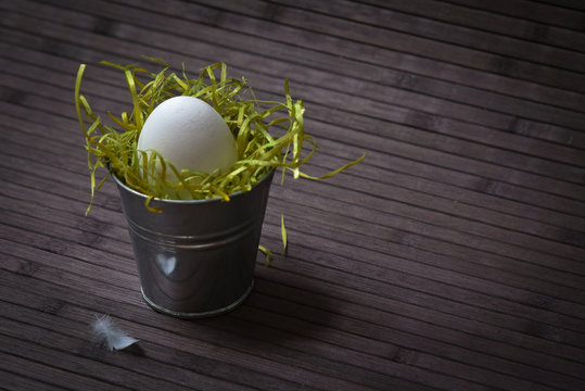 nest in a bucket