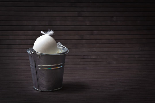 nest in a bucket