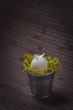 nest in a bucket
