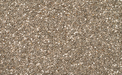Dry chia seeds - raw healthy background or texture