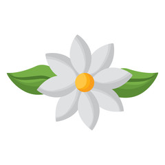 jasmine flower leaves decoration ornament