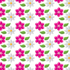 decorative delicate floral jasmine and frangipani flower wallpaper