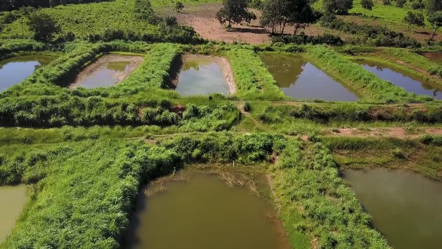 Drone over a group of fishing ponds on a fish farm descends low over the water