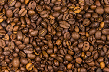 Coffee beans background