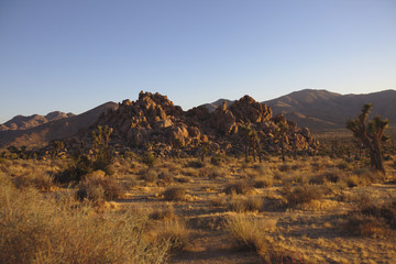 Joshua Tree National Park