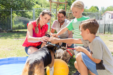 Family taking home a dog from the animal shelter giving new home adopting the pet