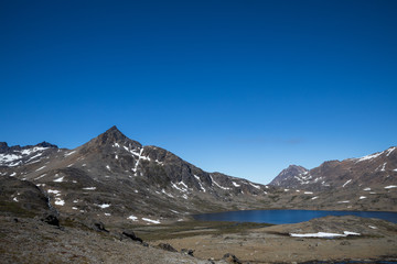 Die phantastische Wildnis Grönlands