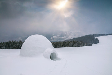 real snow igloo under sunlight - obrazy, fototapety, plakaty
