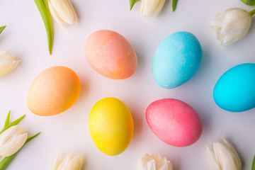 Flowers and colorful eggs on a white background.