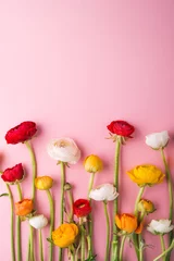 Fotobehang Colorful flowers on a pink background. © Halfpoint