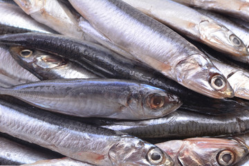 Fish of sprat