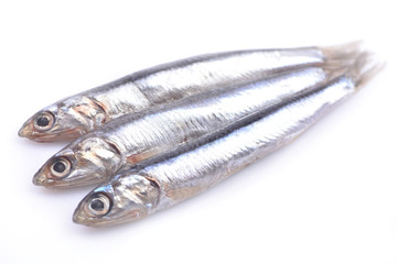 Fish of sprat