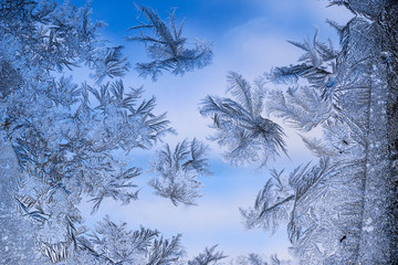 Beautiful  ice pattern on window in winter. Frosty winter pattern at  glass.