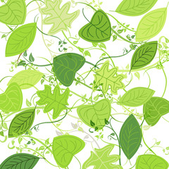 Vector green leaves, spring background
