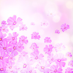 Pink Flower illustration