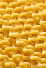 pasta spirals with closeup