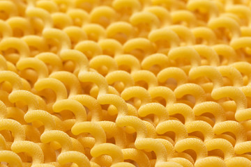 pasta spirals with closeup