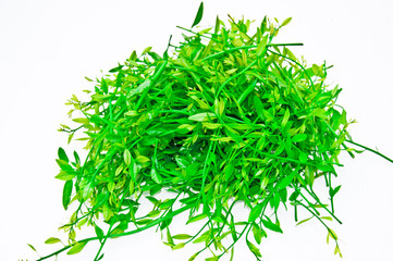 Sweet Vegetables Thai Vegetables are sweet and savory.