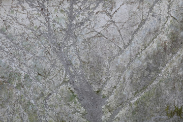 Concrete wall stripped of ivy